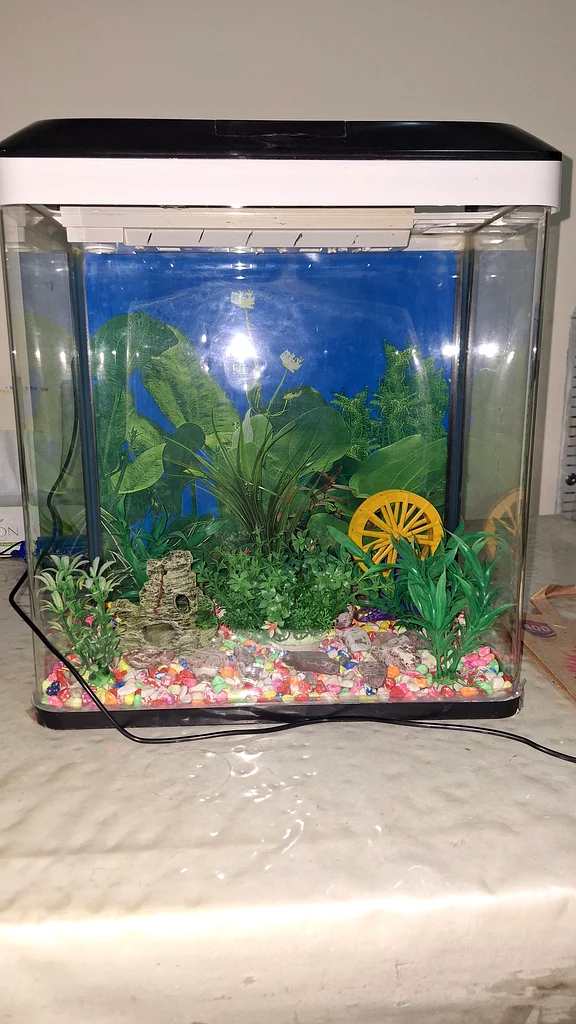 30 litre aquarium63233131218433112