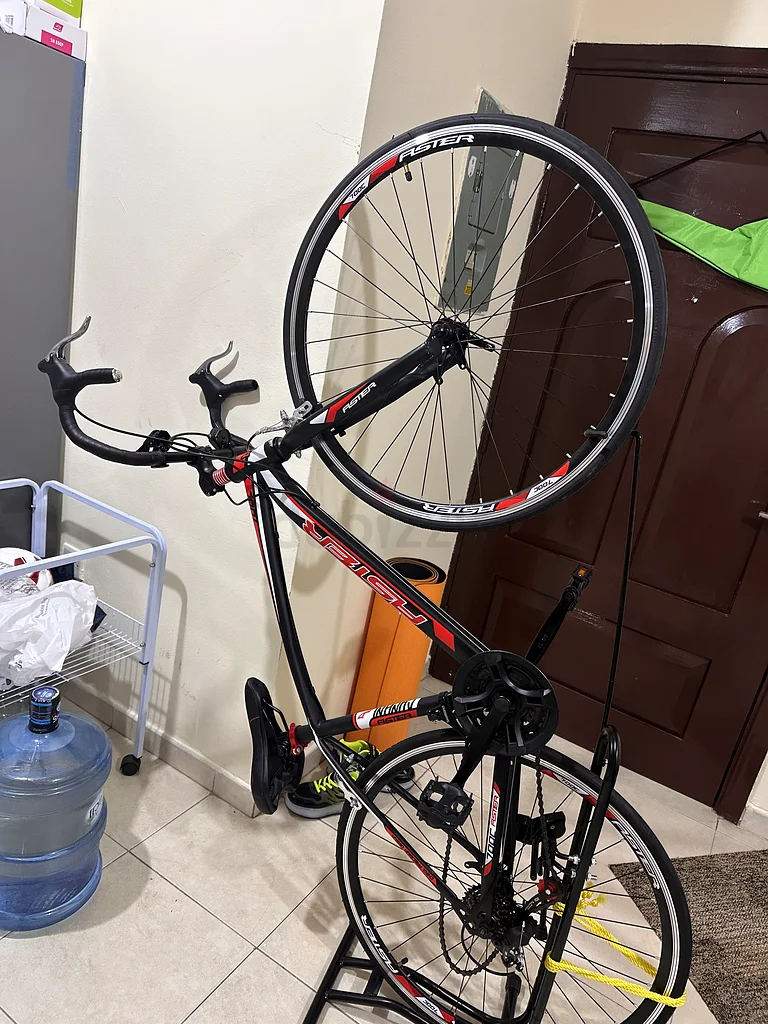 Bicycle for adults63170853115521112