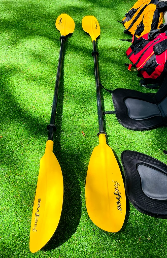 Experience Adventure with Pro 2 Tandem Kayak!63235109786625113