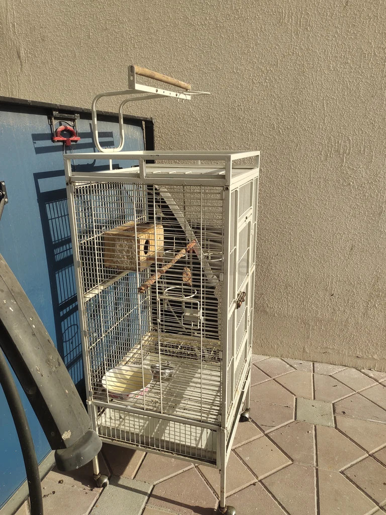 Birds cage62933697807873111