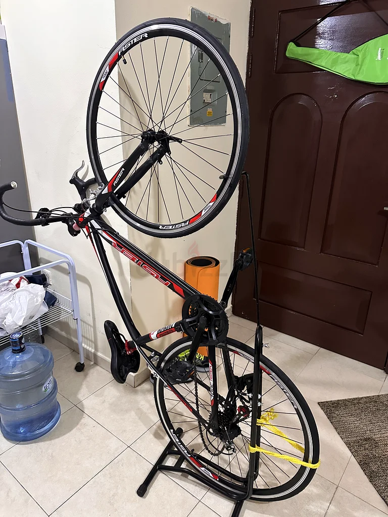 Bicycle for adults63170853115521113