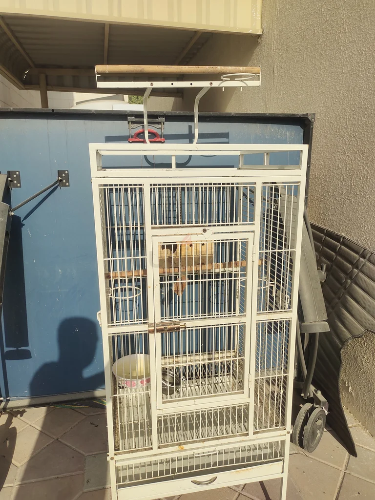 Birds cage62933697807873114