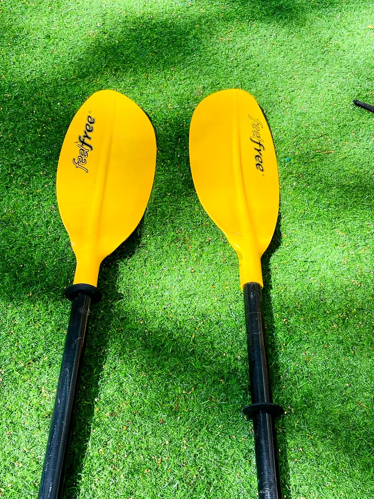 Experience Adventure with Pro 2 Tandem Kayak!63235109786625112
