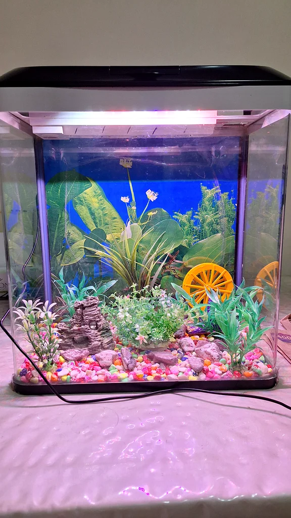 30 litre aquarium63233131218433114