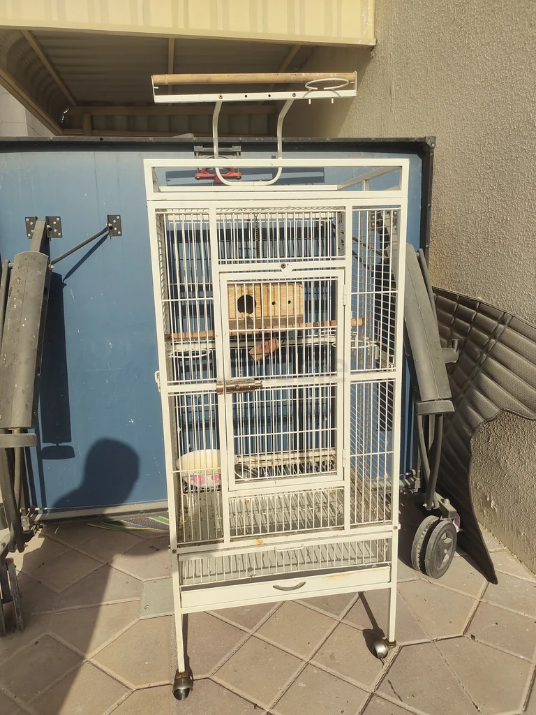 Birds cage629336978078731129