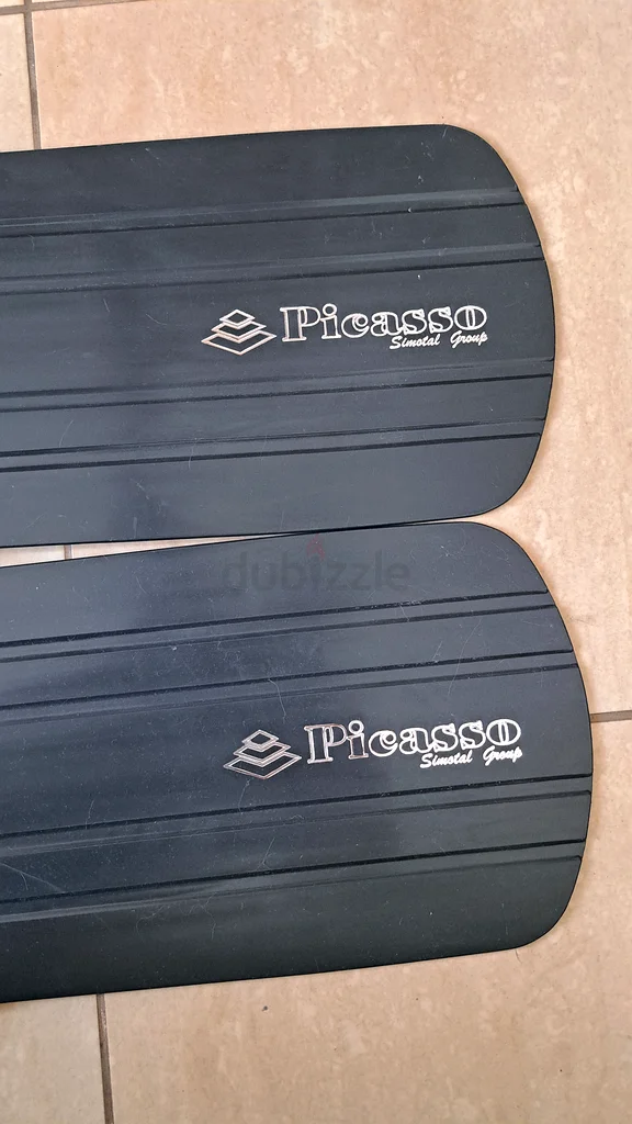 Picasso's fins for freediving63171314103809113