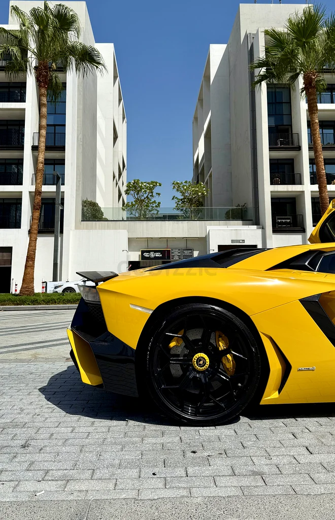 Lamborghini Aventador DMC Kit 2014 well maintained63154165724547114