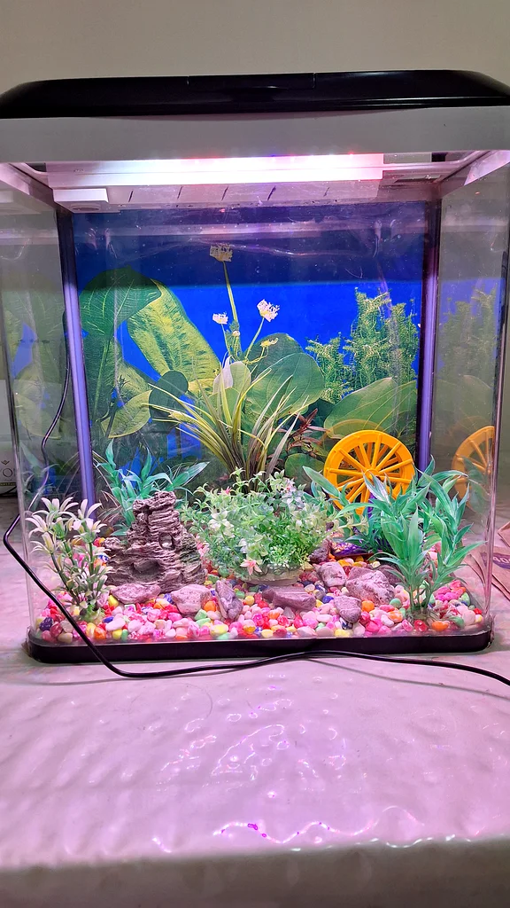 30 litre aquarium63233131218433111