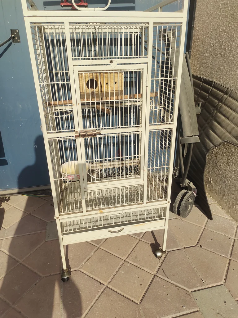 Birds cage62933697807873112