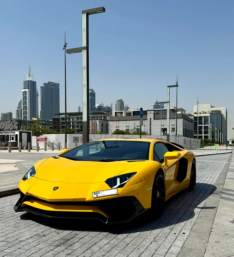 Lamborghini Aventador DMC Kit 2014 well maintained63154165724547112