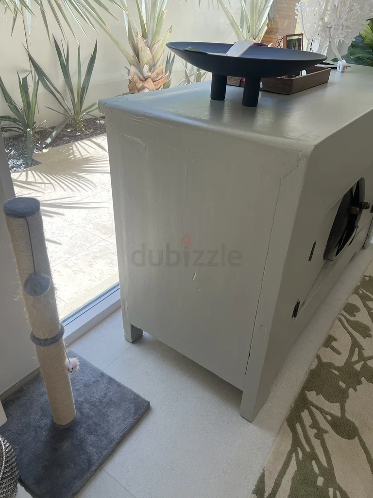 Chinese Cabinet62930652560257111