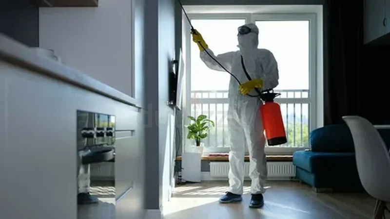 Pest control services62935677396995111