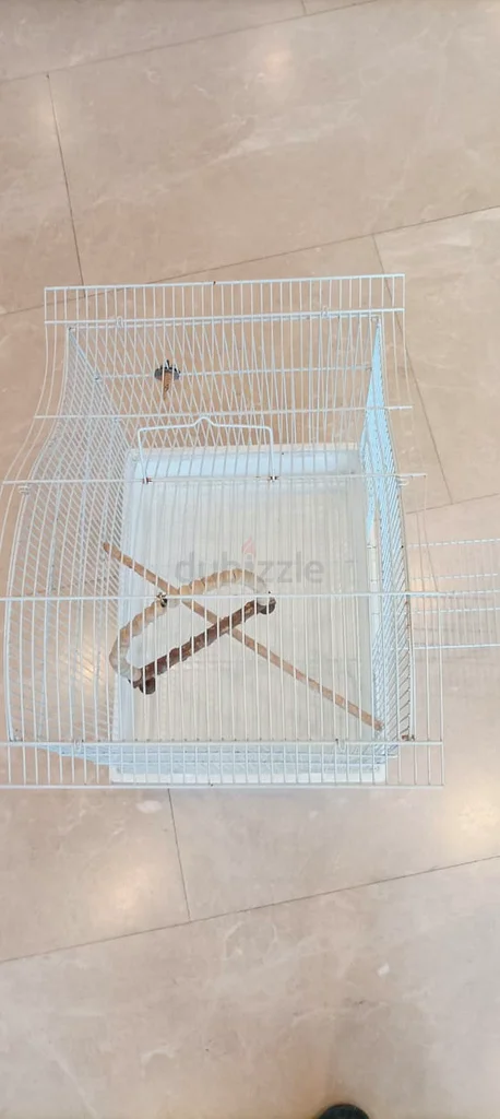 Stylish Bird Cage for Sale!632651041812501127