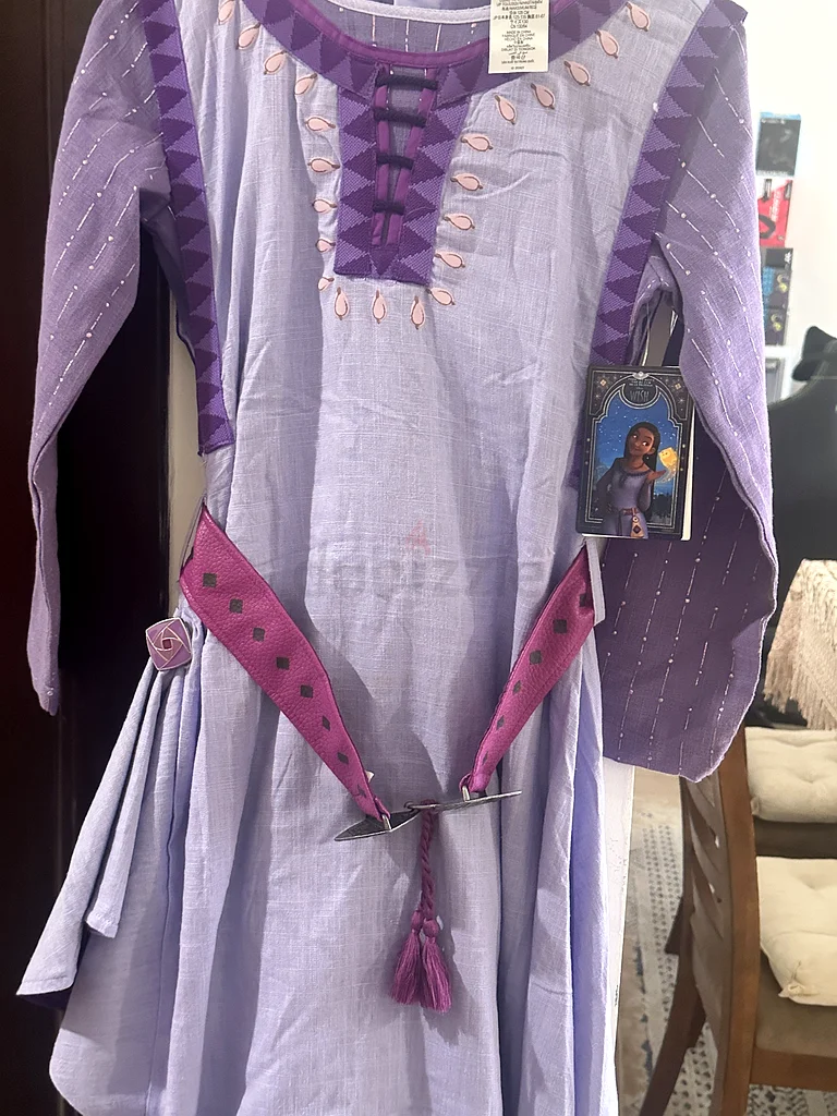 Disney Wish Asha Dress63239616569090112