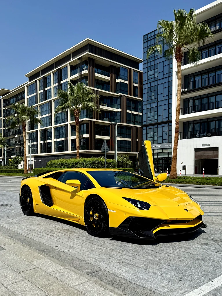 Lamborghini Aventador DMC Kit 2014 well maintained63154165724547110