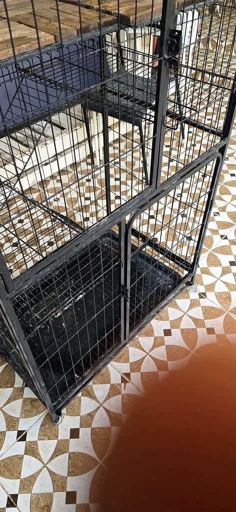 عاجل -- قفص حيوانات أليفة معدني كبير من 3 مستويات للبيع العاجل! مناسب للقطط، والحيوانات الصغيرة، إلخ63232158384131112