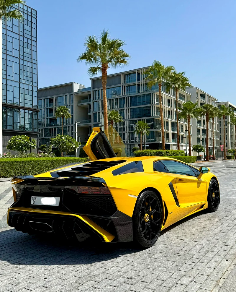 Lamborghini Aventador DMC Kit 2014 well maintained63154165724547111