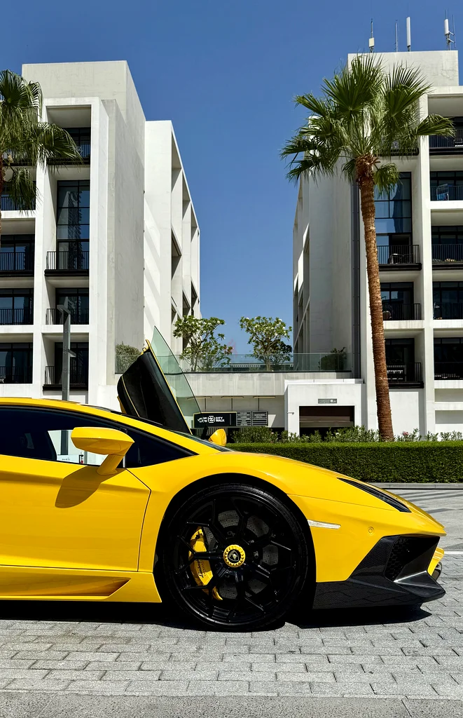 Lamborghini Aventador DMC Kit 2014 well maintained63154165724547113