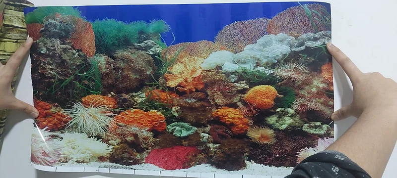 Aquarium wallpaper63264079080065110