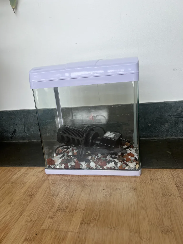 Compact aquarium setup for your pets629306494017301123