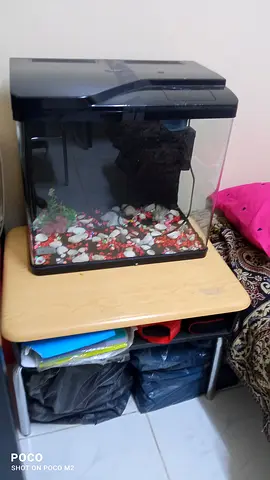 Stylish Fish Tank with Stand for Sale!