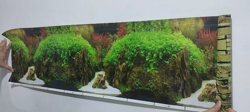 Aquarium wallpaper63264079080065111