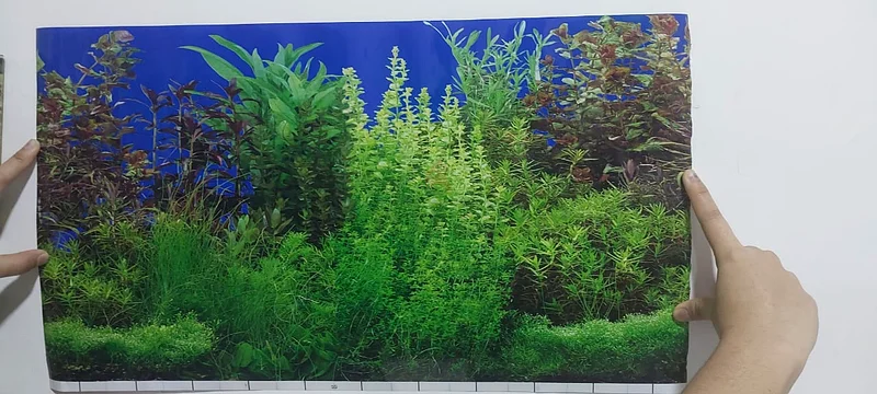 Aquarium wallpaper63264079080065112