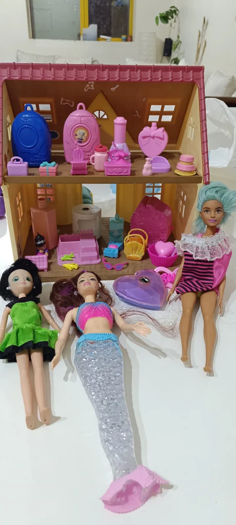 Doll house with dolls and small doll house stuff62865808240897111