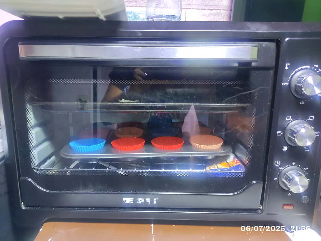 Efficient Multi-Function Electric Oven for Sale63248248634114111