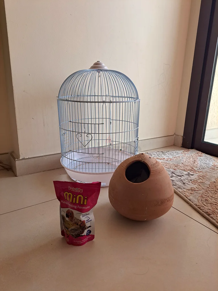 أكسسوارات鸟, قفص طيني, صيغة التغذية باليد 3 حزم62930649419265112