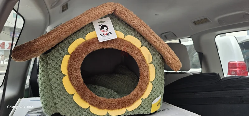 Dog house629306494452511117