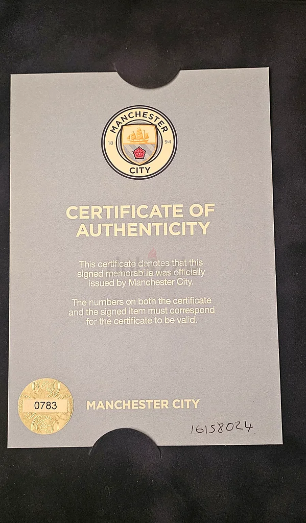 تيشيرت توقيع يدوي من قطعة ماستر بيس من لاعب كرة القدم البرازيلي فيرناندينيو63191604968961111