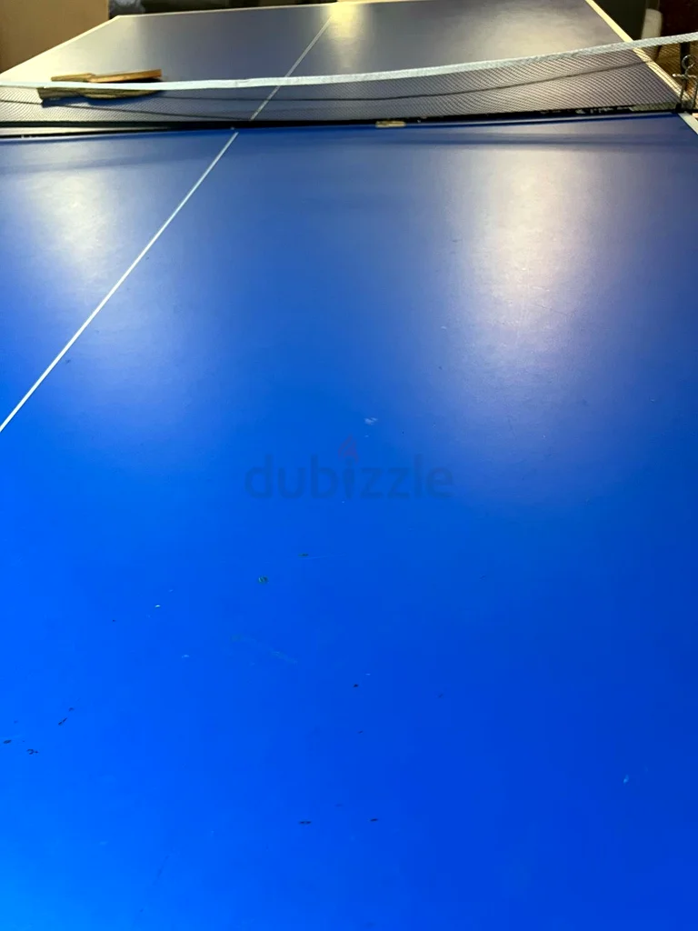 Table tennis63244207192449114