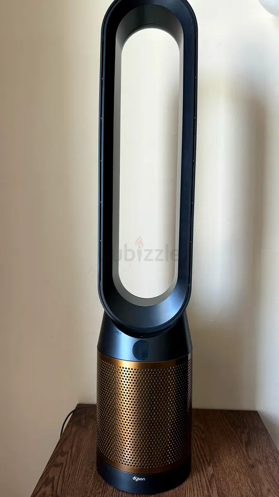 Dyson TP06