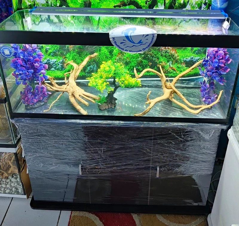 UAE Handmade Fish Tanks: Customized Glass Aquariums63233644860035112