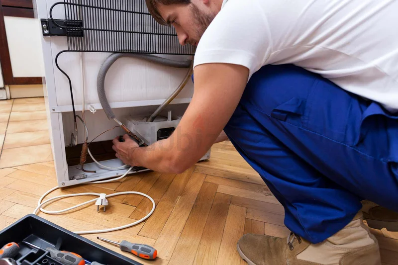 Fridge Refrigerator and Freezer Maintenance repair services62865811030403113
