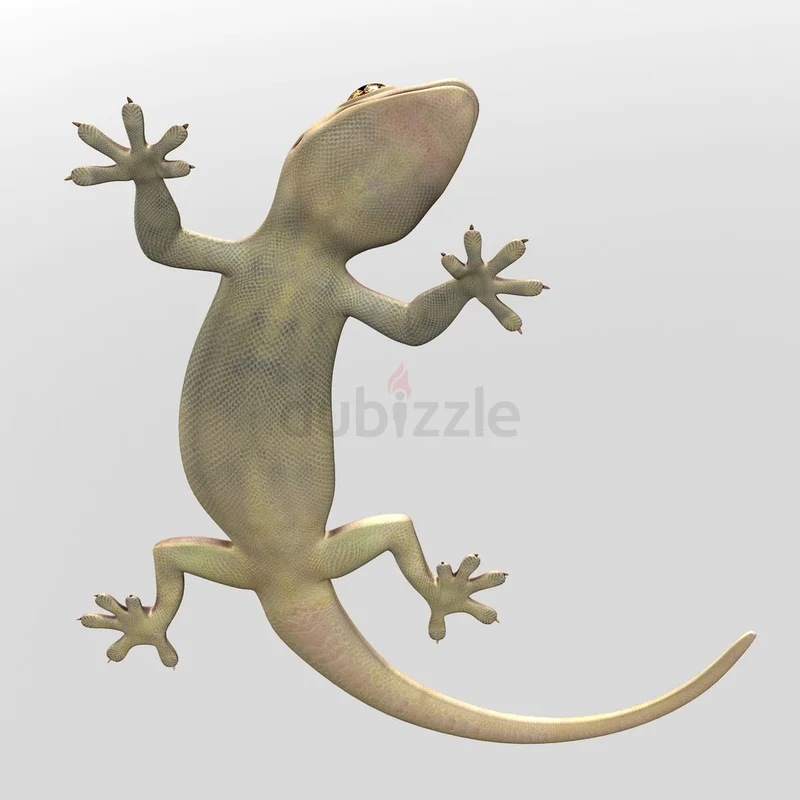 Lizard control in Dubai ( pest control)62929664921602112