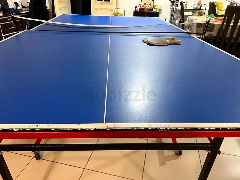 Table tennis63244207192449111