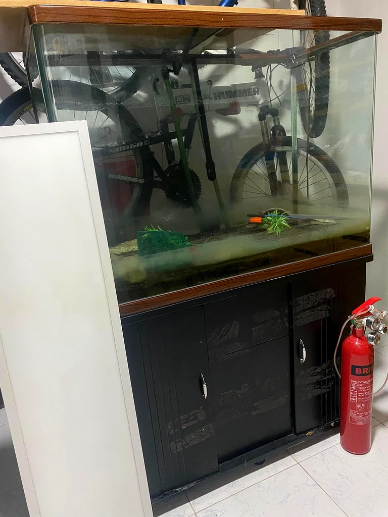 AQARIUM FOR SALE632336448529931127