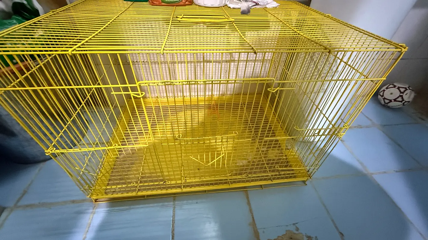 Bird Cage / Rabbit Cage -2 nos63232158397443111