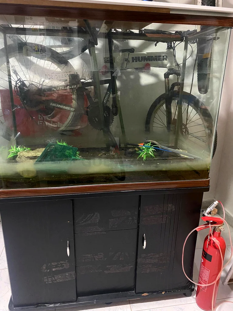 AQARIUM FOR SALE63233644852993113