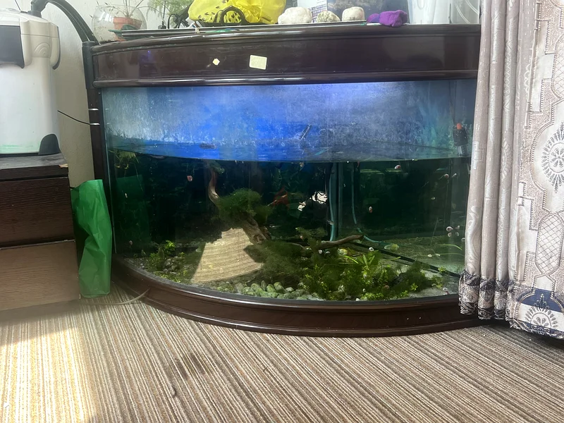 Stunning Aquatic Paradise: Aquarium for Sale!632336448194581129