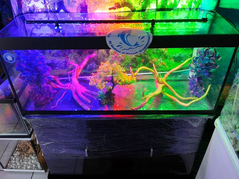 UAE Handmade Fish Tanks: Customized Glass Aquariums63233644860035114