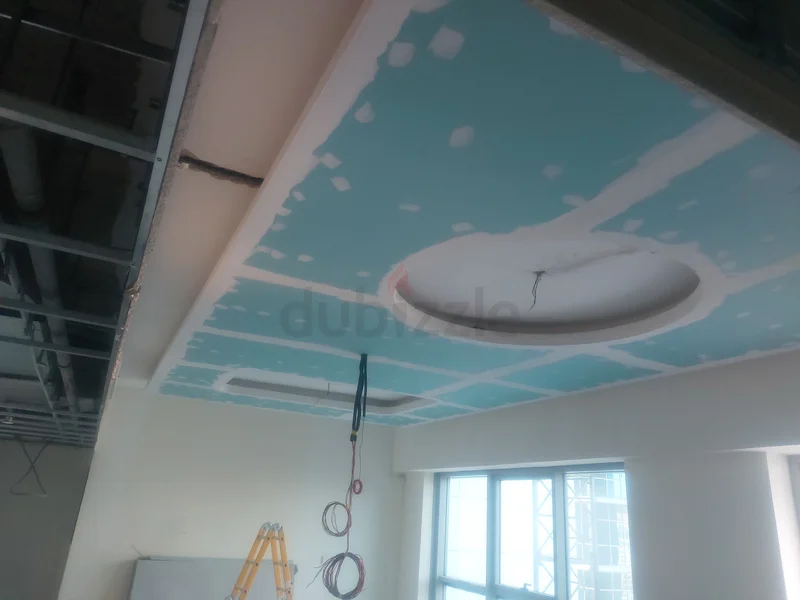Premium ceiling installation services629316894714891123