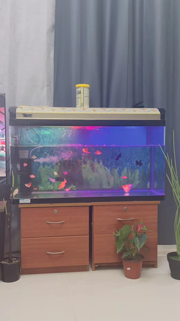 100 Liter Clear Aquarium Tank with 15 Variety of Fish629306495104031119