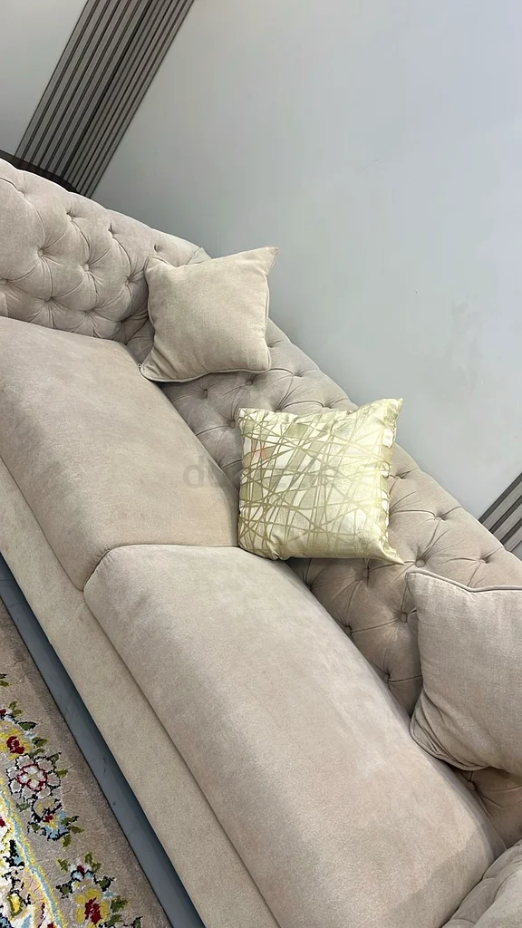 Elegant Beige Velvet Sofa with Cushions628638224328991119