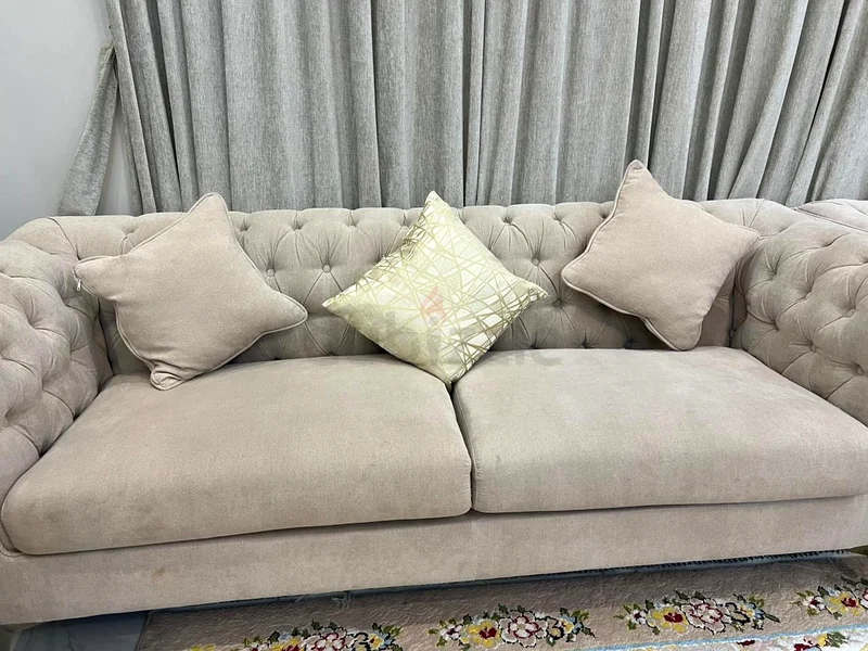 Elegant Beige Velvet Sofa with Cushions62863822432899113