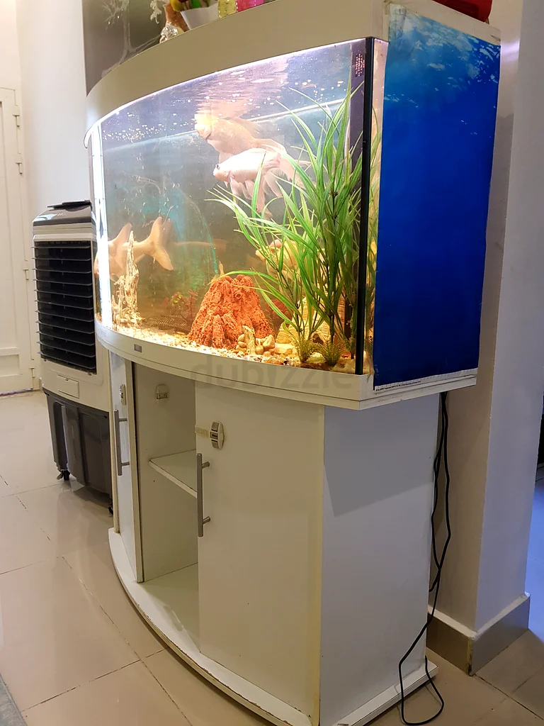 Beautifully set up JUWEL COMPANY aquarium with vibrant fish for sale!63233644956417114