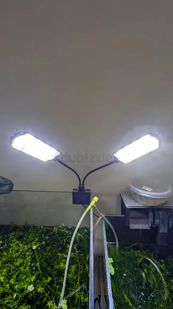 حوض أسماك مع نباتات63264079101442118