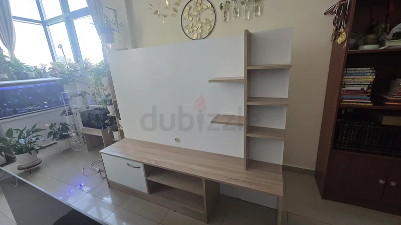 TV unit62863820845315111